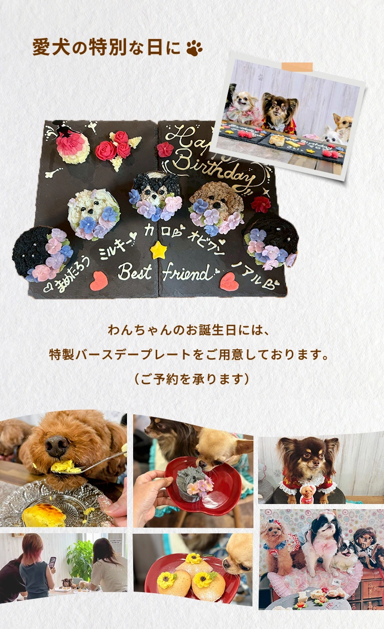 愛犬の特別な日に